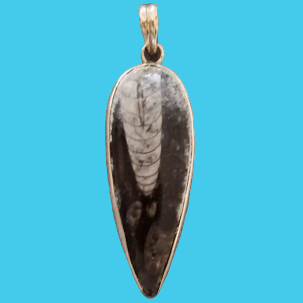 Unique Orthoceros Fossil & Sterling Silver Pendant
